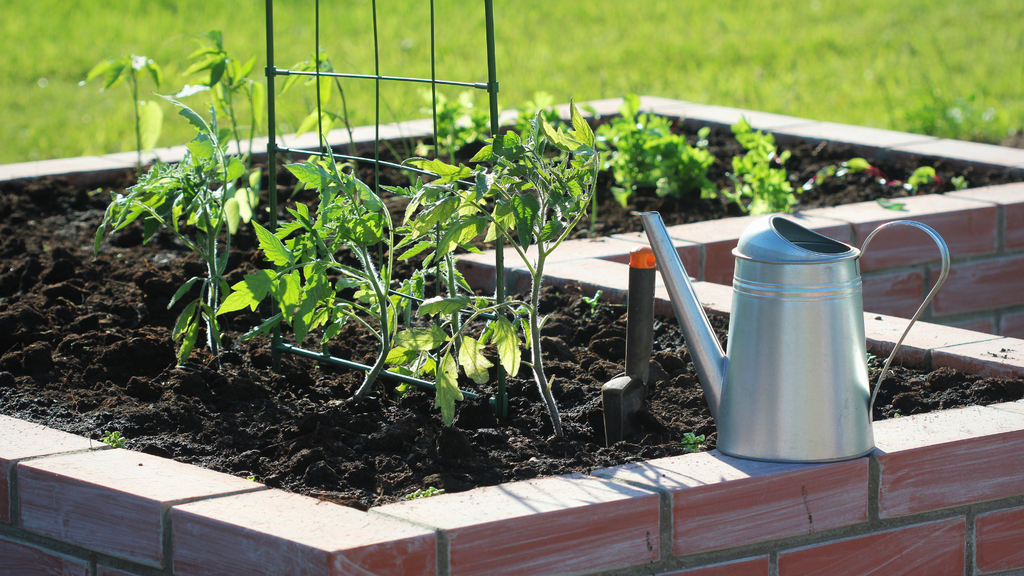 Making Planting Day Simple & Successful