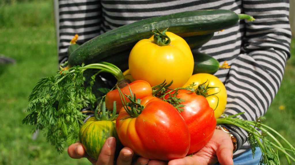 4 Gardening Myths: Know Before You Grow