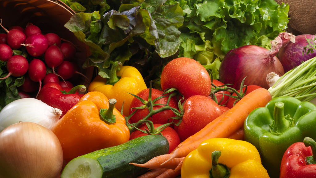 Garden Success Begins on Day One