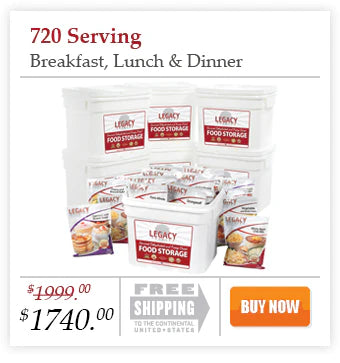 Image title -- Silver Fern