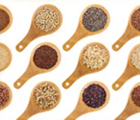 survival seeds