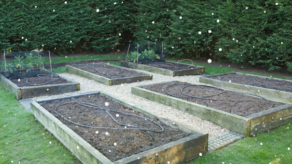 Winter Steps for Spring Garden Success