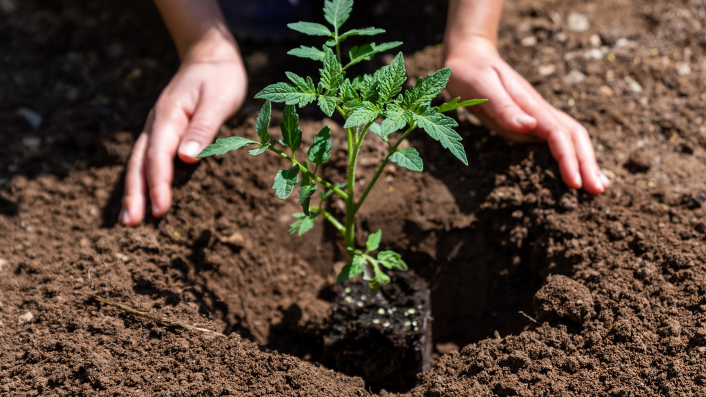 Spring Planting: Why Timing Is Everything