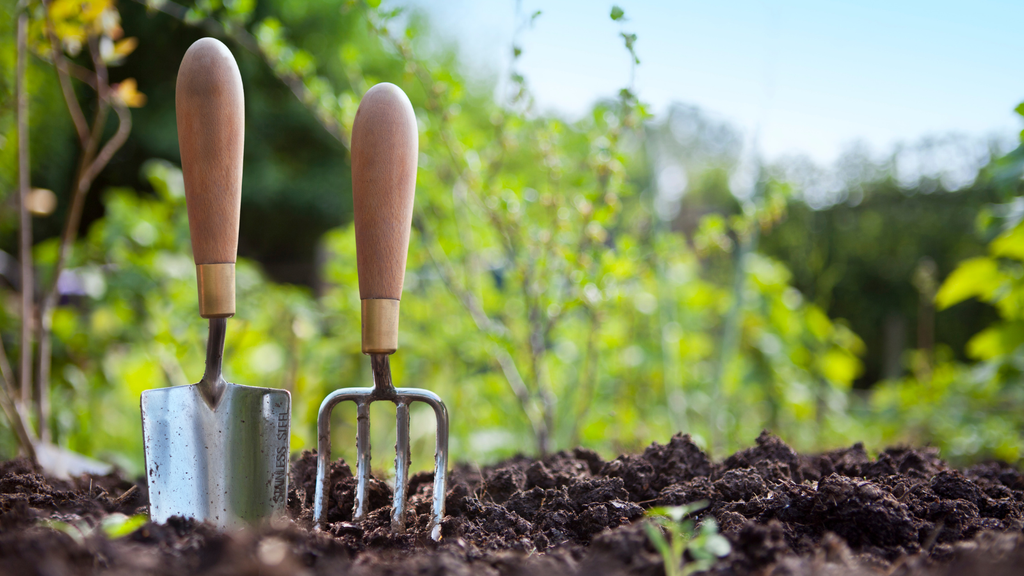 5 Spring Gardening Tips Not to Ignore