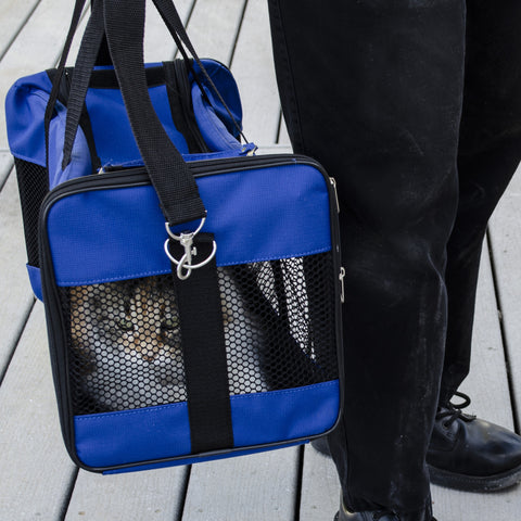 Emergency Pet Survival Kits - Dog or Cat Options