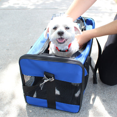Emergency Pet Survival Kits - Dog or Cat Options