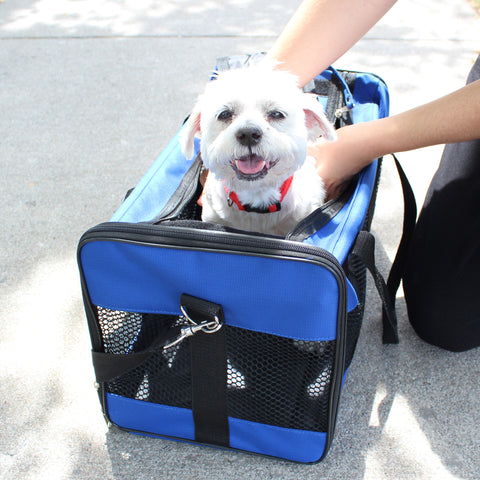Emergency Pet Survival Kits - Dog or Cat Options